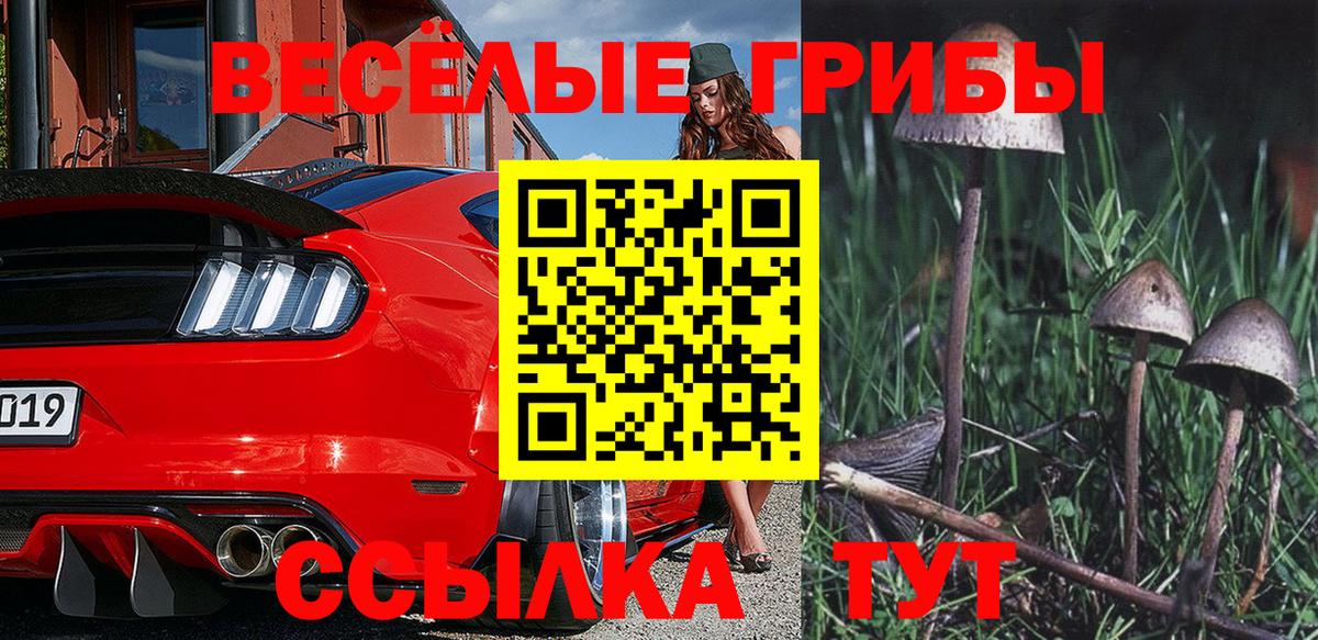 Галлюциногенные грибы MAGIC MUSHROOMS Гулькевичи