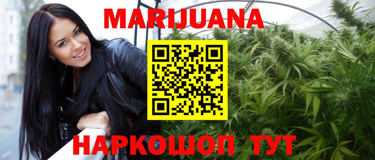 Каннабис сатива Гулькевичи